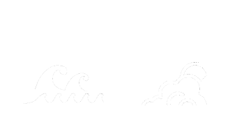 Lisbon Wave and Experiences