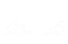 Lisbon Wave and Experiences – moments of your life