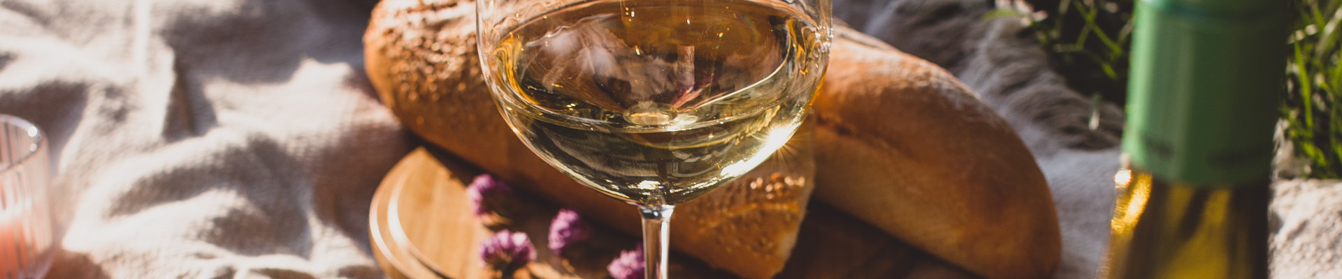 Taste - Lisbon Wave and Experiences – moments of your life